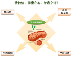 ../../../../../Desktop/Screen%20Shot%202017-09-13%20at%2011.33.42%2